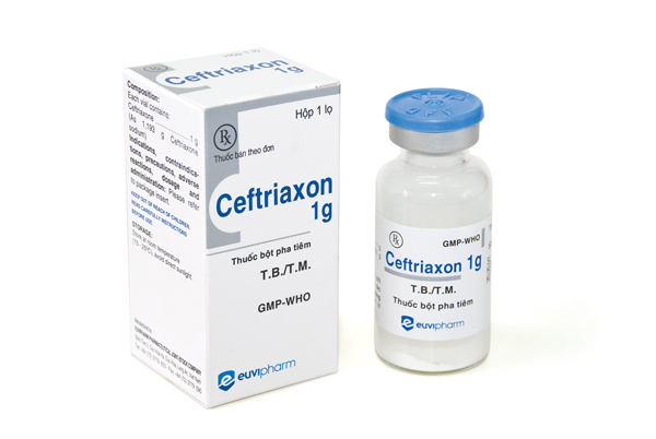 Ceftriaxon - Liều dùng; cách bảo quản thuốc 2