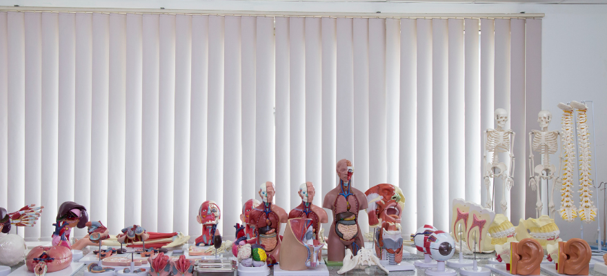 co-so-vat-chat-truong-cao-dang-y-duoc-sai-gon-co-so-nha-trang