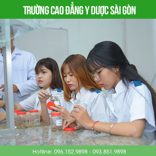 Trường Cao đẳng Y dược Sài Gòn đào tạo chứng chỉ chuyển đổi ngành Trường Cao đẳng Y dược Sài Gòn đào tạo chứng chỉ chuyển đổi ngành